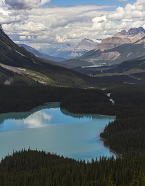 Peyto Lake in the Canadian Rockies 