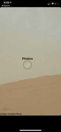 Phobos From Mars Surface