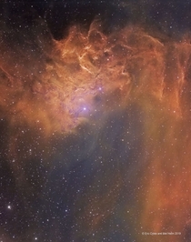 Pictured here in the Hubble color palette the Flaming Star Nebula officially known as IC  lies about  light years distant spans about  light years and is visible with a small telescope toward the constellation of the Charioteer Auriga