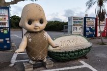 Pineapple baby and goya bench in Okinawa 