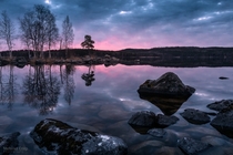 Pink - Jyvskyl - Finland 