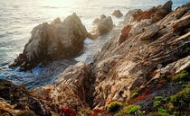 Pinnacle Cove Point Lobos State Reserve CA 