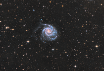 Pinwheel Galaxy 