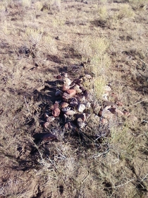 Pioneer grave along the Oregon Trail s - s Western Wyoming USA Left undisturbed by the ranch owners