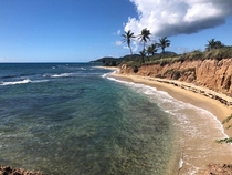 Playa Negra Island of Vieques Puerto Rico OC  x 