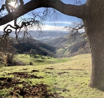Please enjoy my photo of the hills in Northern California from my hike 