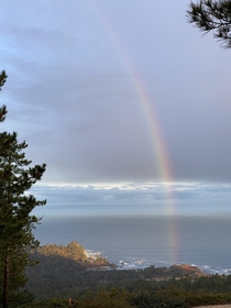 Point Lobos California after overnight rain 
