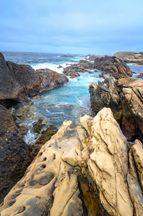 Point Lobos Carmel California 