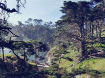 Point Lobos National park California Resolution 