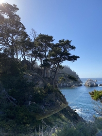 Point Lobos North Shore Trail 