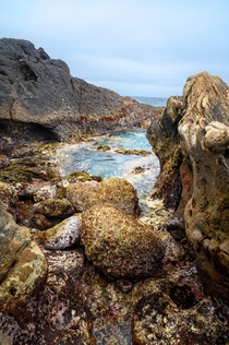 Point Lobos State Natural Reserve Carmel CA 