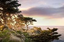 Point Lobos State Park at sunset Carmel California 