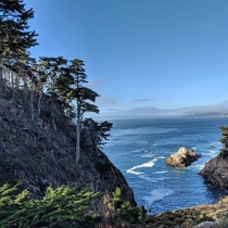 Point Lobos State Reserve - Carmel CA x 