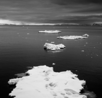 Polar Bear Tracks amp Ice Floe Svalbard  OC x