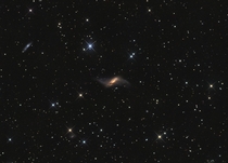 Polar-ring Galaxy NGC 