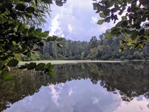 Pond in Umstead Park NC 