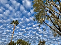 Popcorn Clouds over Los Angeles