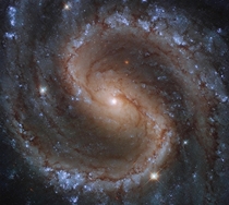 Portrait of the Lost Galaxy
