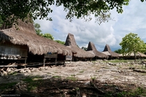 Prainatang on Sumba Island Indonesia 