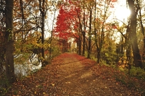 Princeton Nj bike trail in the fall 