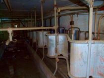 Pump Room of an Abandoned Dairy Farm Couldnt post the video