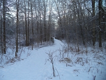 Quiet winter run 