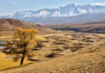 Quite a lot of autumn shots of NAEU here but not enough Asia Autumn in the Altai Mountains - Altai Republic Russia 