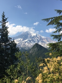 Quite the sight to see at Mt Rainier National Park 