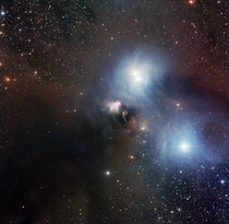 R Coronae Australis star forming region 