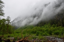 Rain clouds hugging the steep sides of the Quinault River cast an eerie gloom 
