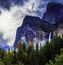 Rain over single pine tree left of Cathedral Rocks in Yosemite Valley 