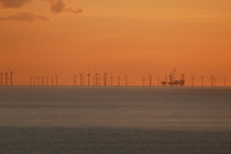 Rampion Wind Farm seen from Saltdean against an orange sunset sky 