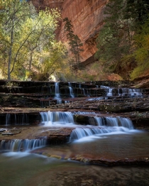 Rapids along The Subway trail in Zion National Park  IG jessroams