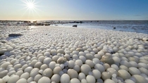 Rare ice eggs found on beach in Finland  Photo RISTO MATTILA