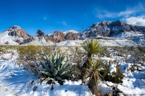 Rare photo of Big Bend after record snow 