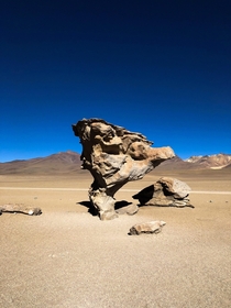 rbol de piedra Stone tree Sur Lpez province Bolivia 