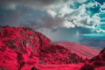Real infrared photograph from Grandfather Mountain NC  IG - frozenspectrum