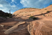 Redrock curves in the Utah desert x 