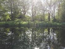 Reflecting creek Amstelveen the Netherlands 