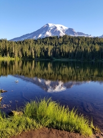 Reflection Lakes Mount Rainier National Park 