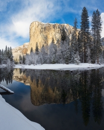 Reflection of El Capitan in Yosemite National Park after a fresh snowfall - hard to see a more beautiful scene 