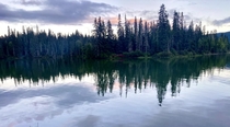 Reflection on Meziadin Lake British Columbia Canada OC 