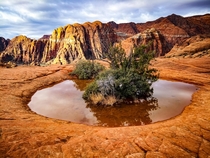 Reflections in Snow Canyon State Park 