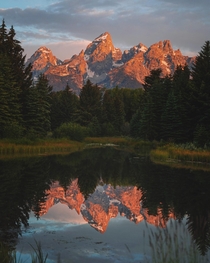 Reflections of Perfection Grand Teton National Park WY  IG grantplace
