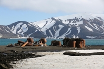 Remains of whaling station Deception Island 