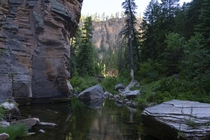 Remote Canyon in Coconino National Forest Arizona 