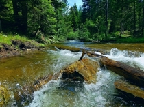 Renwyck Creek Idaho 