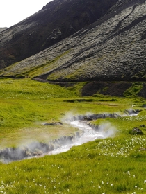 Reykjadalur Iceland Water from geothermal pools flows into this creek making it steaming hot 