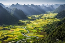 Rice paddies Bac Son Vally Vietnam Hai Thinh Hoan 