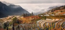 rice terraces high up on a mountain side in China 